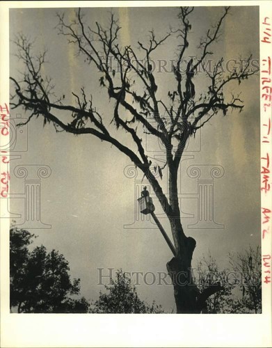 1984 press photo worker - press, a