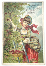 Lion Coffee Trade Card