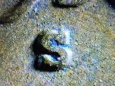 1930 S/S FS 501 Wheat Cent RPM