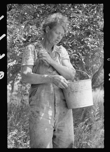Migrant cherry picker berrien - cherry,