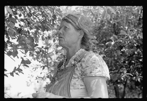 Migrant cherry picker berrien - cherry,